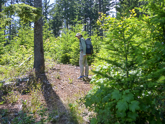 We did not find the connector trail that our map showed between Riordian Hill Drive and the Starvation Ridge Trail.  Eventually we gave up and bushwacked a couple minutes to the trail.