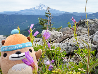 On the summit of Tanner Butte.