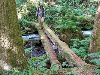 In the Tanner Creek valley.