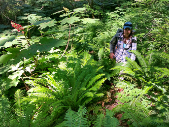 Tanner Creek Trail