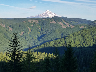 Mount Hood from Von Ahm Rim.