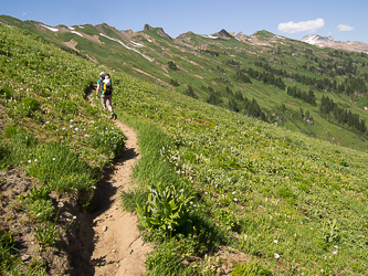 The Foam Creek Trail.