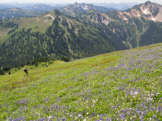 Descending the SW sub-ridge of Indian Head.  Kodak Peak and Johnson Mountain in the background.