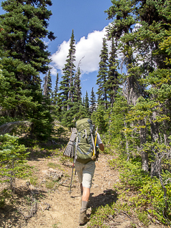 Hiking up the North Scatter Creek Trail.