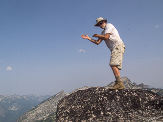 On the summit of Sherpani Peak, with a cloud flying insects.