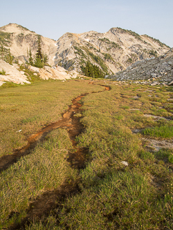 A meadow near Robin Lake.