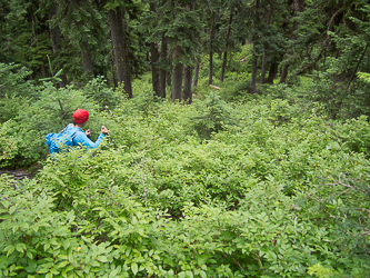 Hiking the trail down to French Creek.