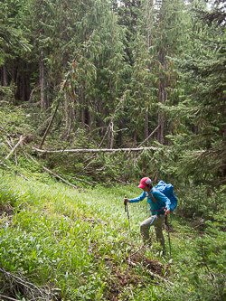 Ascending the SW slopes of Nursery Pk.