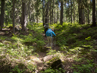 Hiking back up to Sprite Lake.