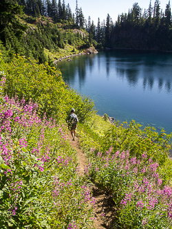 Lake Lillian