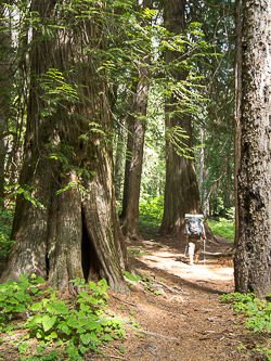 Hiking up the Indian Creek Trail.