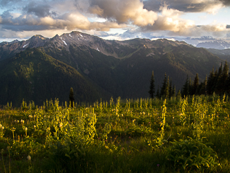 Johnson Mountain and Pilot Ridge.