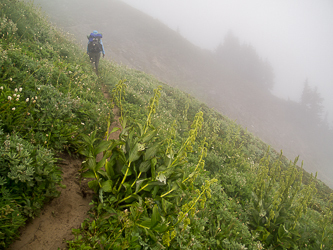 Foam Creek Trail.