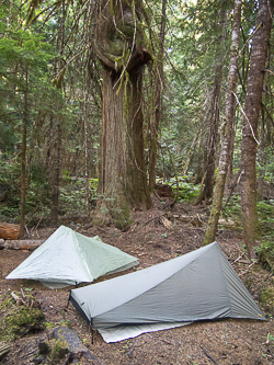 Camp on the PCT near the Suiattle River.