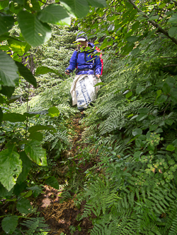 The key trail from the upper Napeequa Valley to the lower valley.