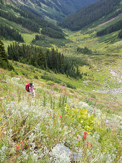 The Boulder Creek Valley