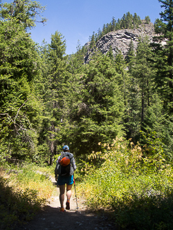 Walking up the Robinson Creek Trail.