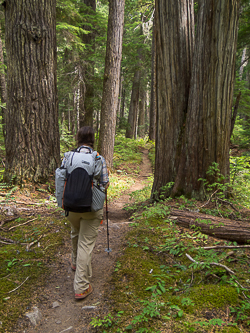 Hiking down Icicle Creek Trail.  We got our car shuttle at the trailhead by 3:30 PM.