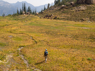 The 6,200' meadow below Scatter Peaks.