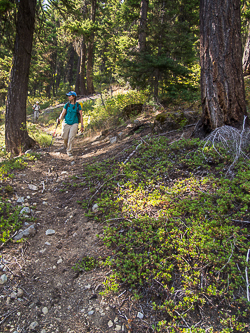 North Fork Fortune Creek Trail