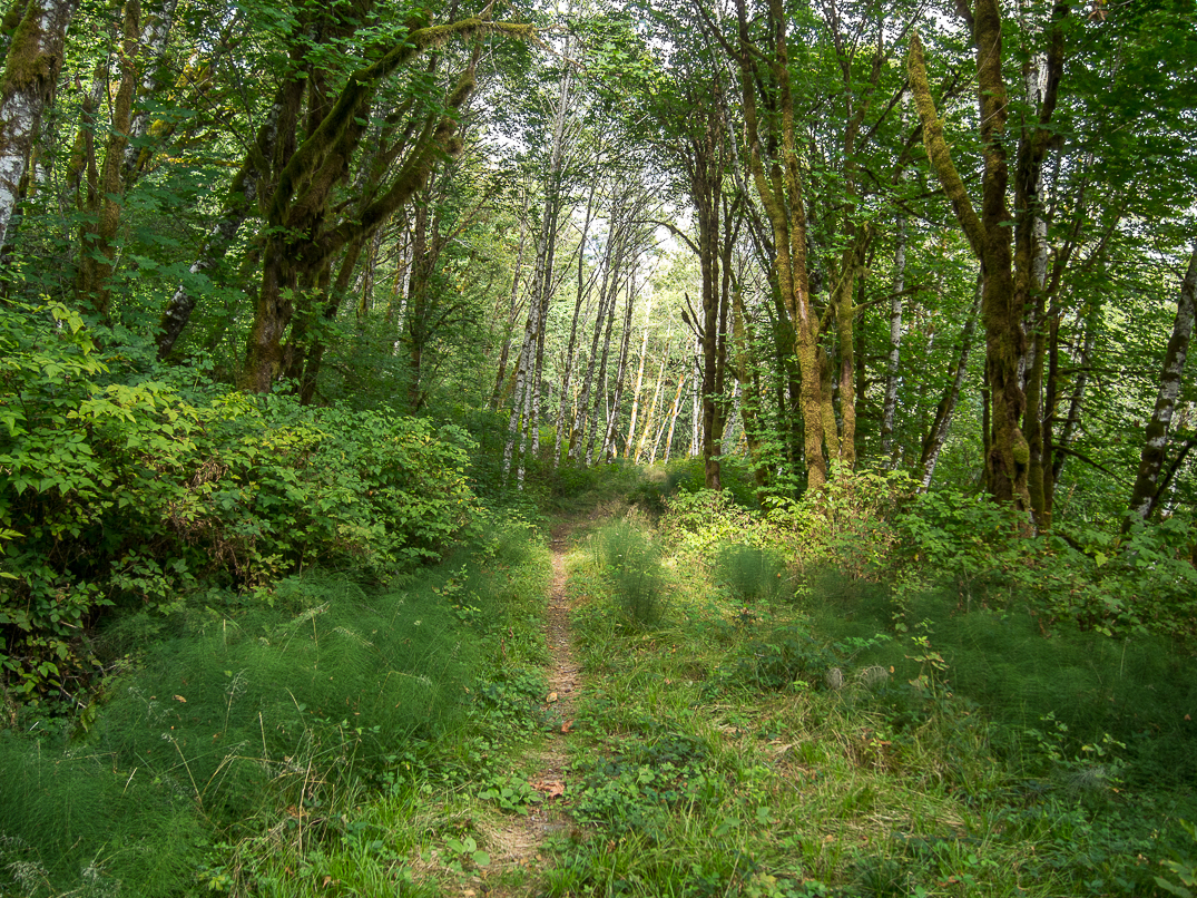 Iron Cap Mountain, East Fork Foss - Necklace Valley, West Fork Foss River  and Lakes — Washington Trails Association