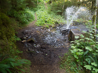 A warm spring on the Middle Fork Trail. This was inadvertently created in 1967 by a Westland Copper LTD employee while drilling for a core sample.