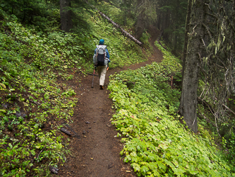 Hiking up Snowgrass Trail.