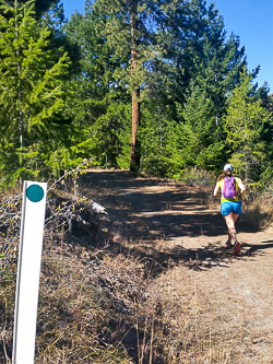 The tread got a LOT better for running once we got to the "green dot" part of Big Burn Canyon Road.