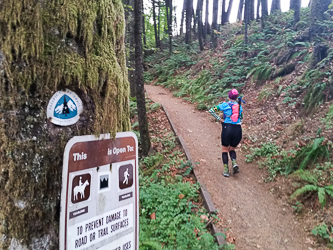 The PCT trailhead in Cascade Locks.