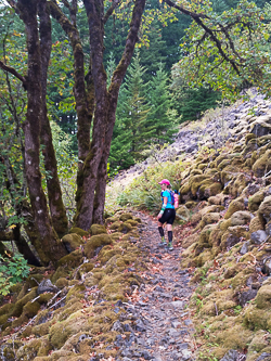 Going up the PCT