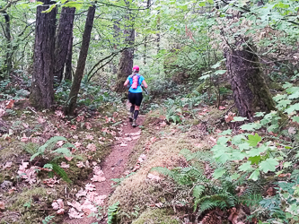 Returning to our trailhead via Gorge Trail #400.