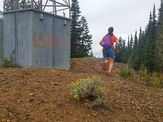 The Kachess Ridge communications tower ("Kachess Beacon").