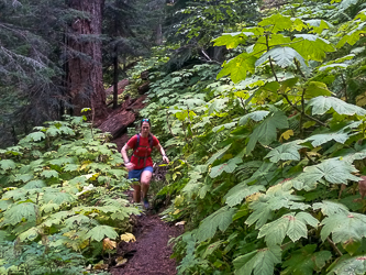 Running down Beacon Ridge Trail #1315.3.