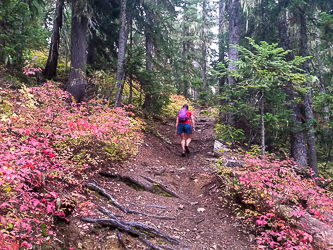 On Silver Creek Trail.