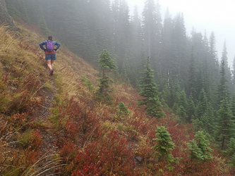 On the connector trail between the Silver Creek Trail and the Domerie Peak Trail.