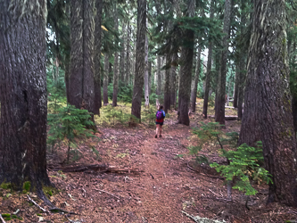 Running down the Domerie Peak Trail.