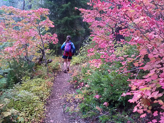 Running down the Domerie Divide Trail.