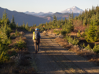 Glacier Peak from Road 6525.