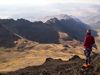 Wildhorse Canyon from the summit of Steens Mountain