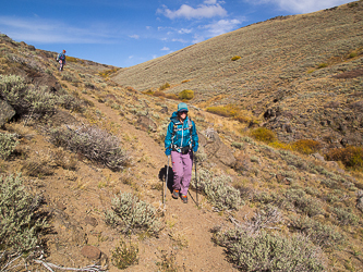 Hiking down a boot path into Little Blitzen Gorge.