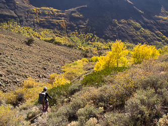 Little Blitzen Gorge.