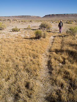 Following the wild horse trail that ends at Big Sand Gap Spring.