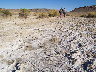 Alkali deposits