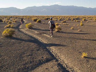 Steens Mountain in the distance.