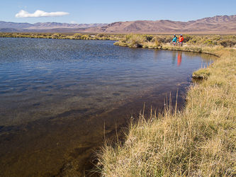 Borax Lake.  We did not spot any chub.