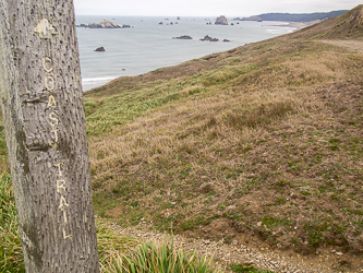 Coast Trail!