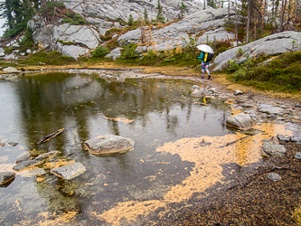 Horseshoe Lake