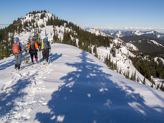 On Noble Knob's south ridge.