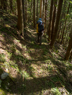 Hiking the connector trail back to the trail head.