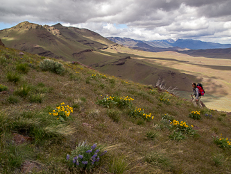 On Alvord Pk's NE ridge.